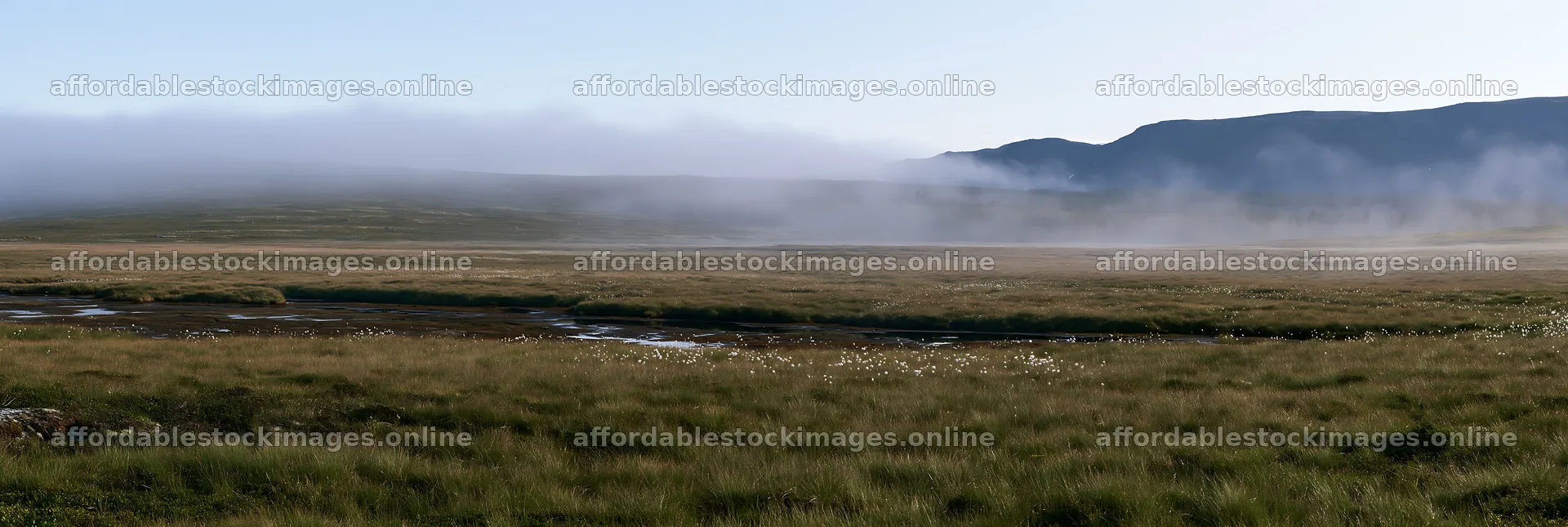 Seedhead meadow under a clear sky with mist in the background – stock images 13690x4602