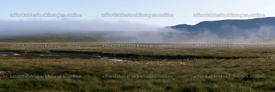 Seedhead meadow under a clear sky with mist in the background – stock images 13690x4602
