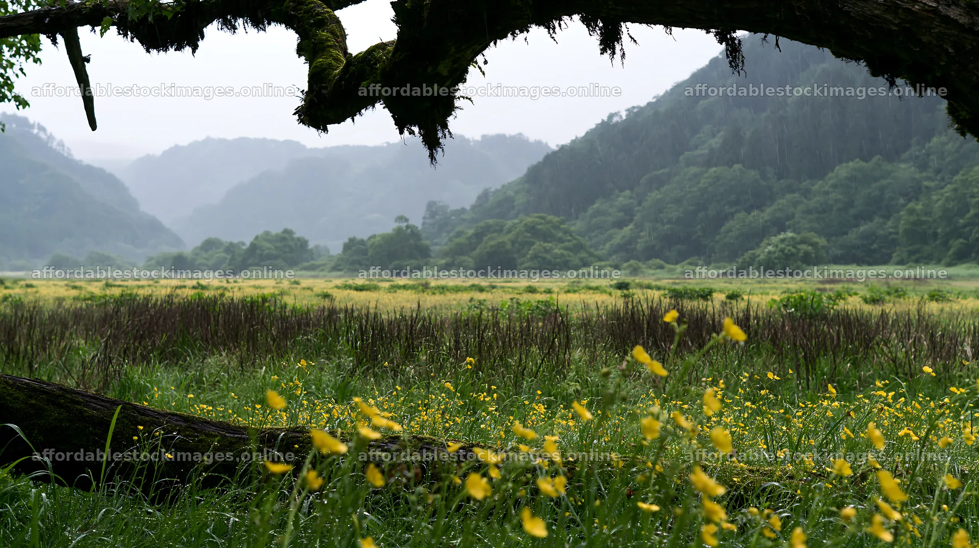 Gifu low-carbon meadow with mossy log and distant hills – stock images 10608x5938