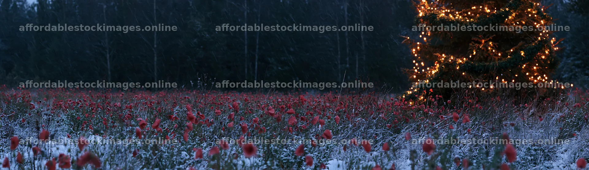 Decorated Christmas tree in snowy meadow with lights – stock images 14762x4268