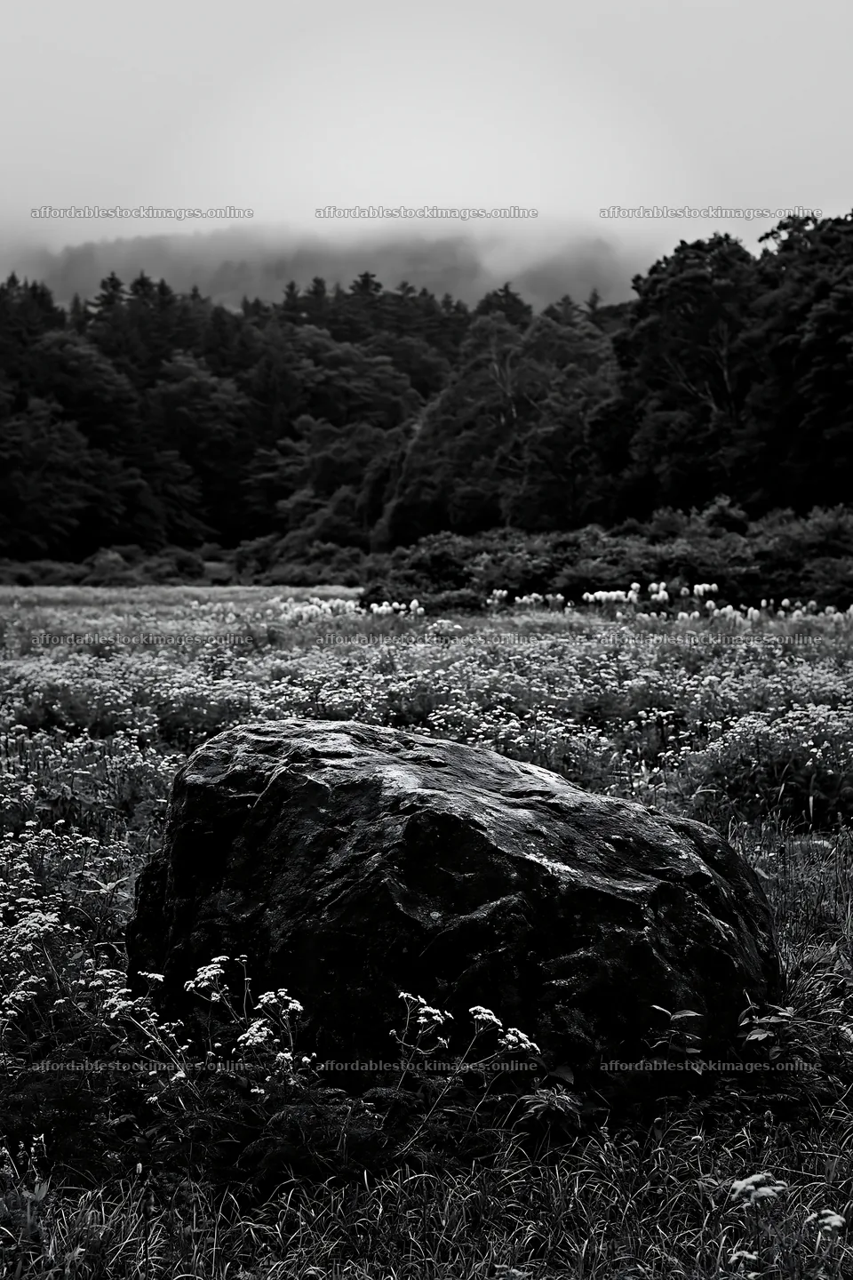 Nagano meadow with granite boulder in drought conditions – stock images 6480x9722