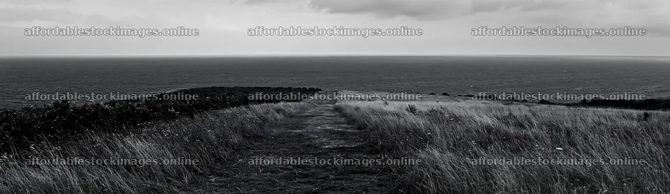 Seaside orchard meadow with open grassland and ocean view – stock images 14762x4268