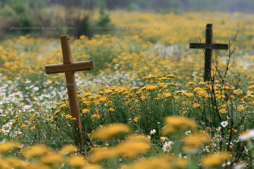 Christian crosses in rainy meadow with yellow flowers – stock images 9722x6480