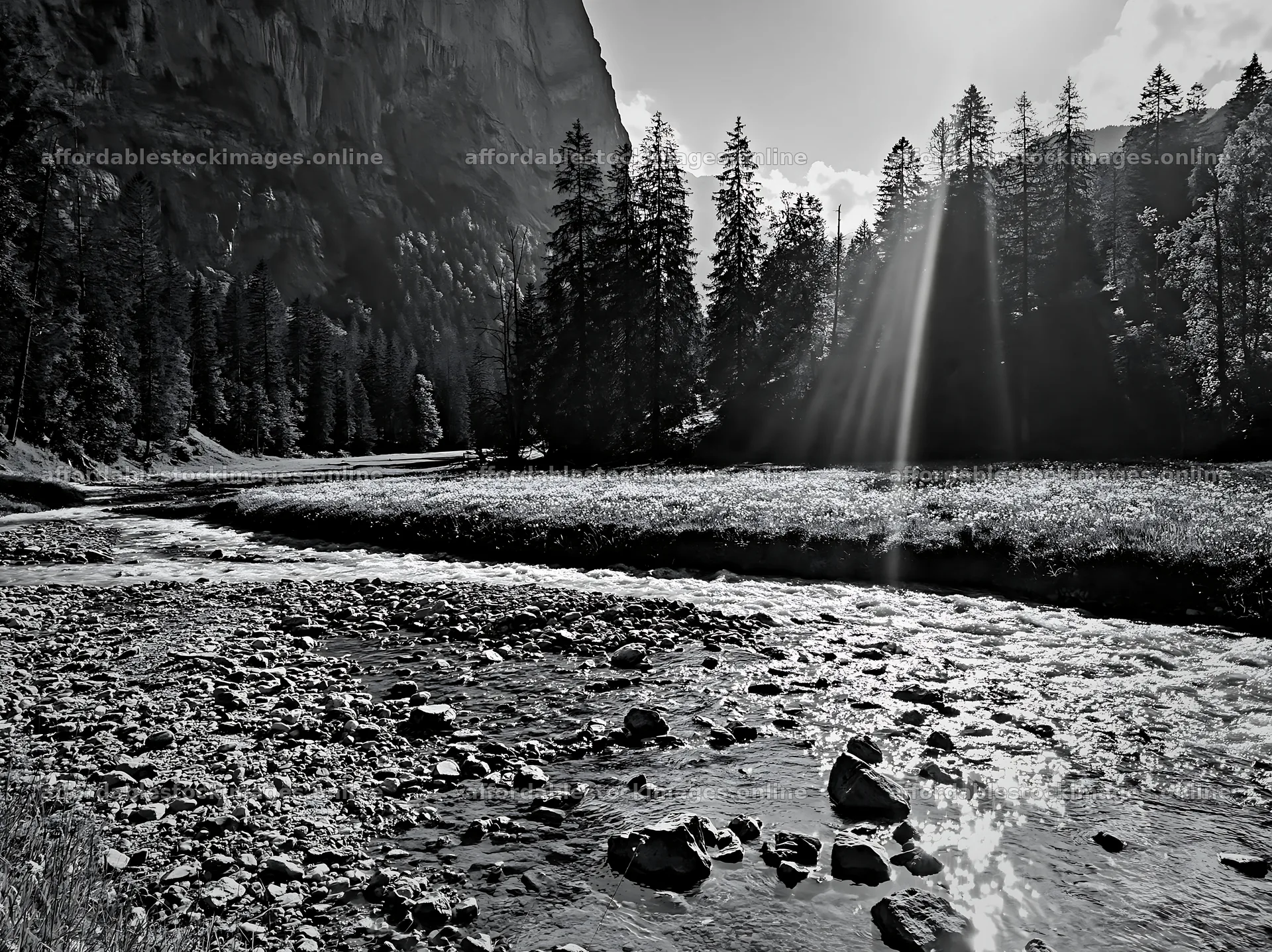 Light rays over Lauterbrunnen Valley meadow and river – stock images 9174x6866