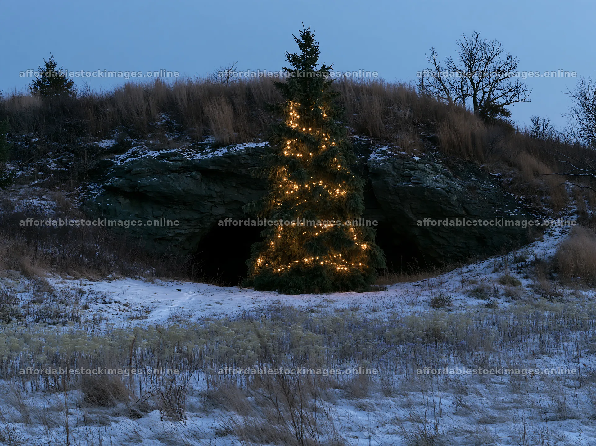 Christmas tree with lights beside cave in meadow – stock images 9174x6866