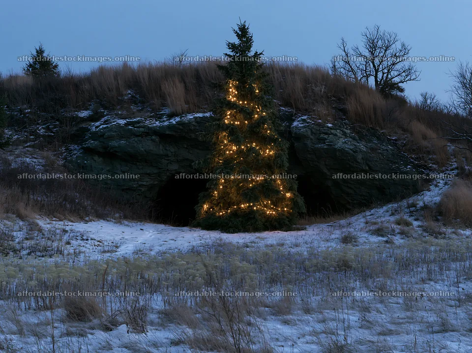 Christmas tree with lights beside cave in meadow – stock images 9174x6866