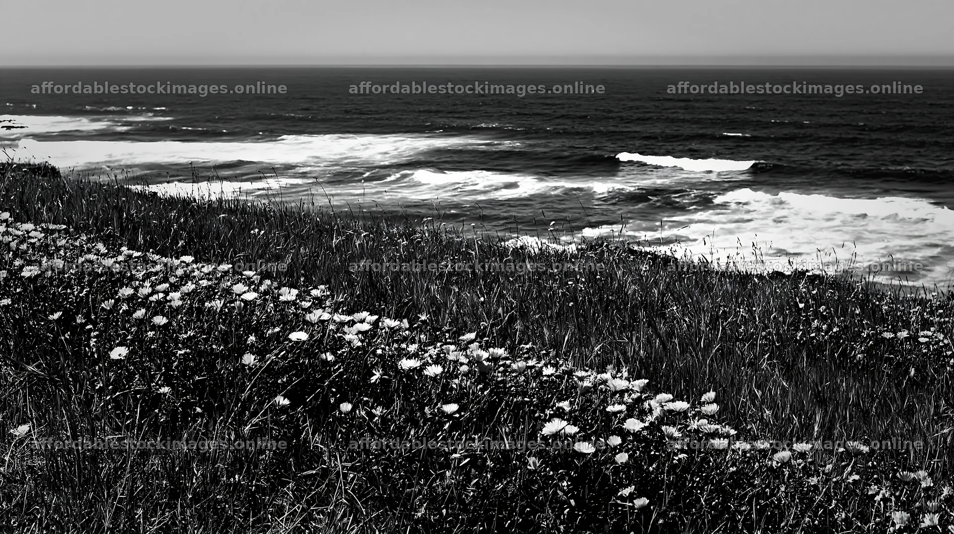 Portuguese meadow above Atlantic coast with ocean waves – stock images 10608x5938