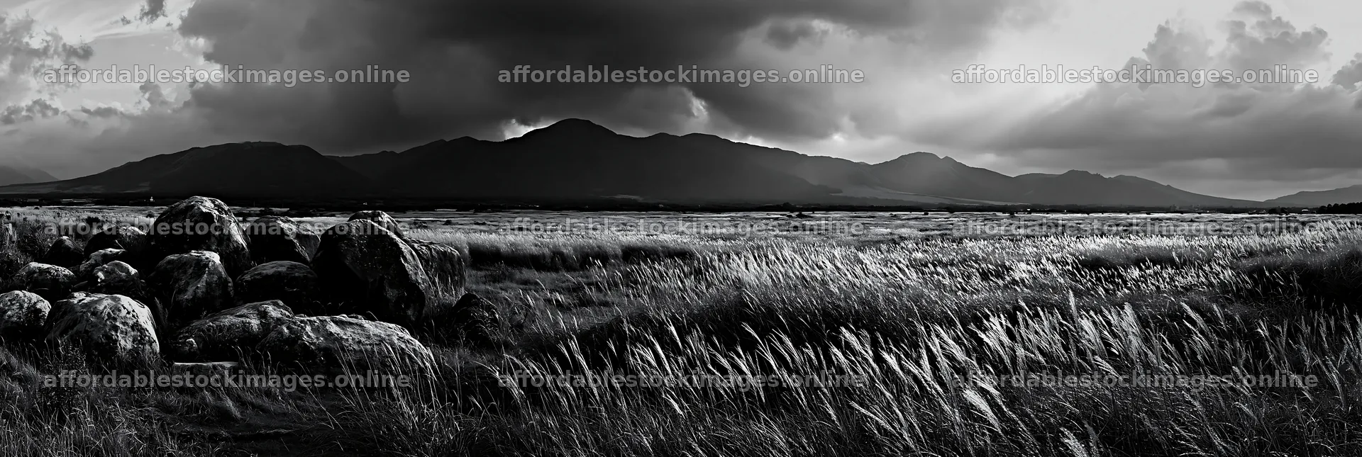Restored Kumamoto silver grass meadow boulders – stock images 13690x4602