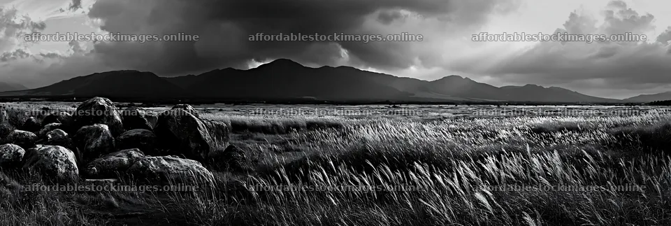 Restored Kumamoto silver grass meadow boulders – stock images 13690x4602