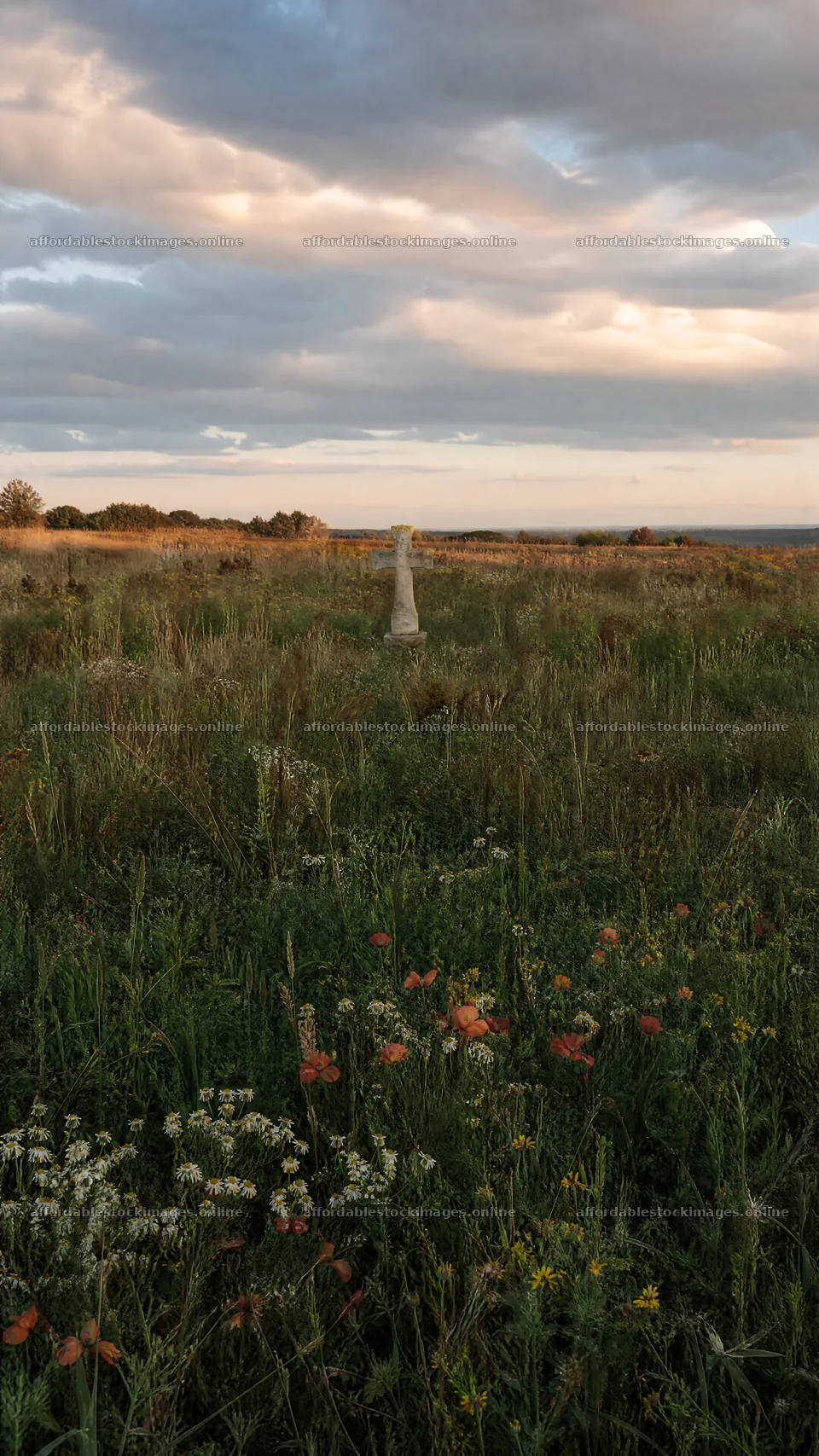 Christian cross in autumn meadow with soft copper light – stock images 5952x10584