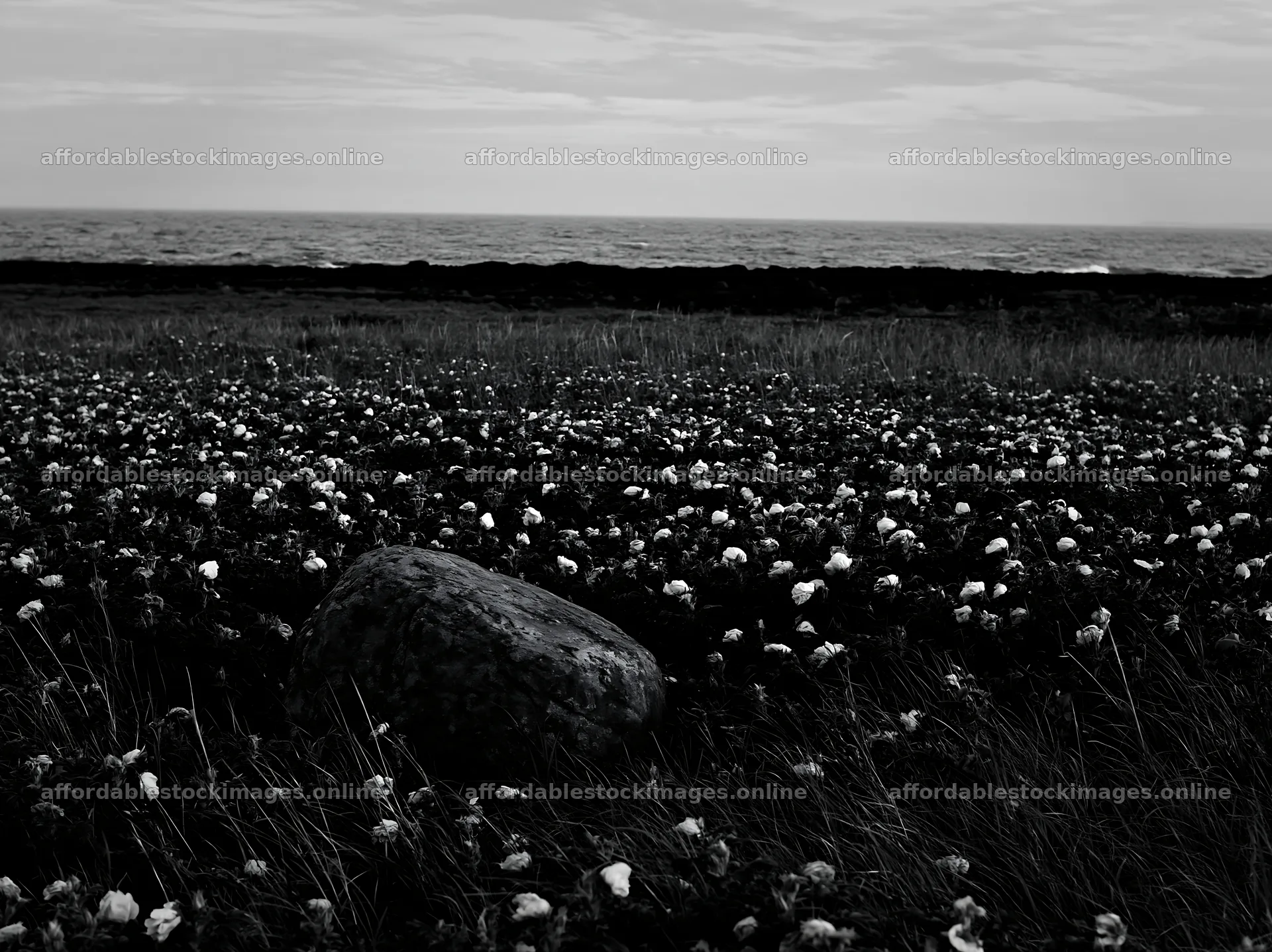 Aomori climate resilient meadow with boulder under cloudy sky – stock images 9174x6866