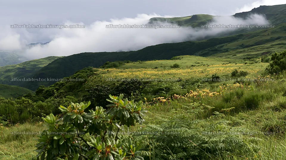 Dewy meadow with hills and clouds in the background – stock images 10608x5938