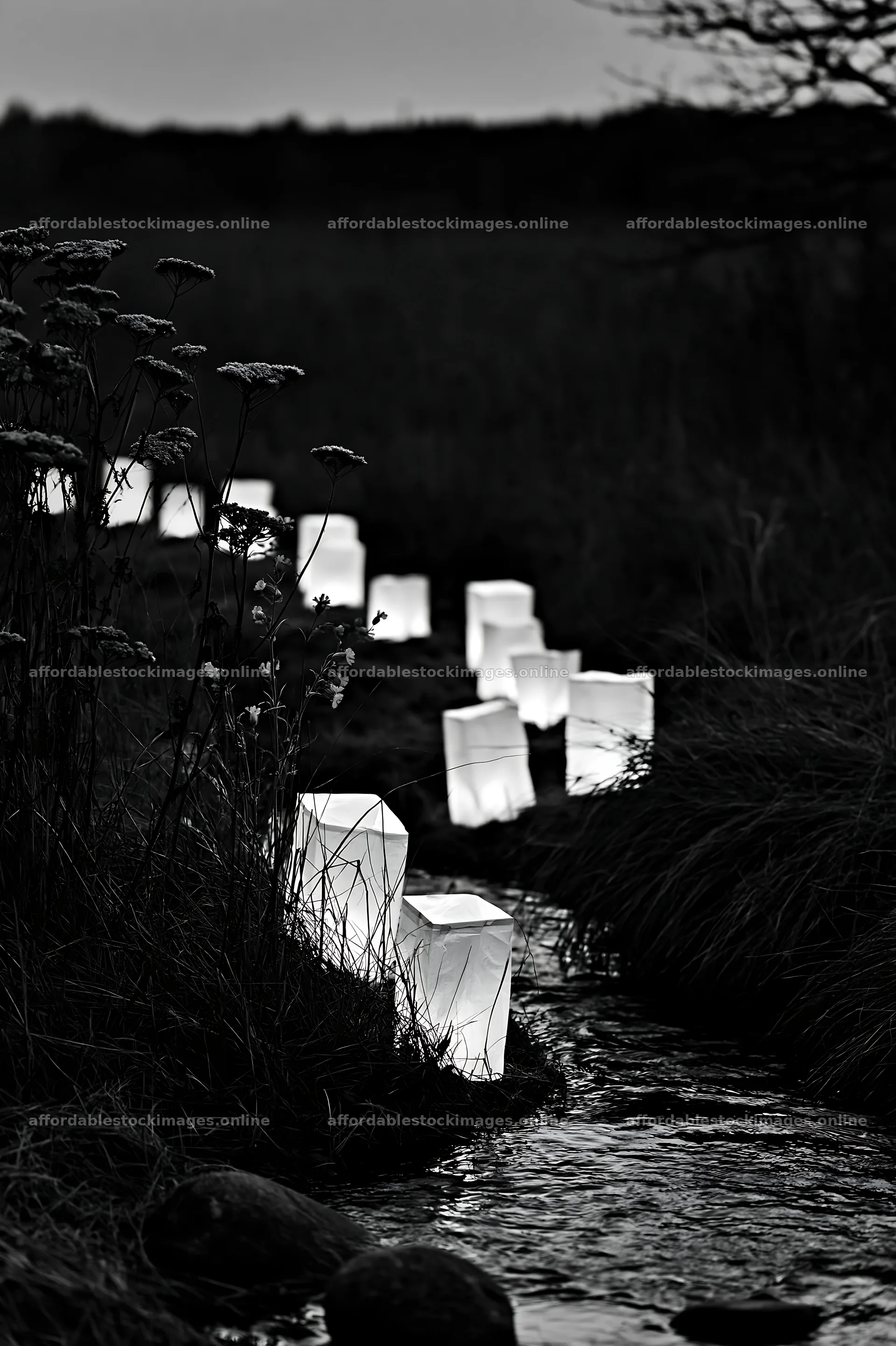 Christmas lanterns beside stream in meadow at dusk – stock images 6480x9722