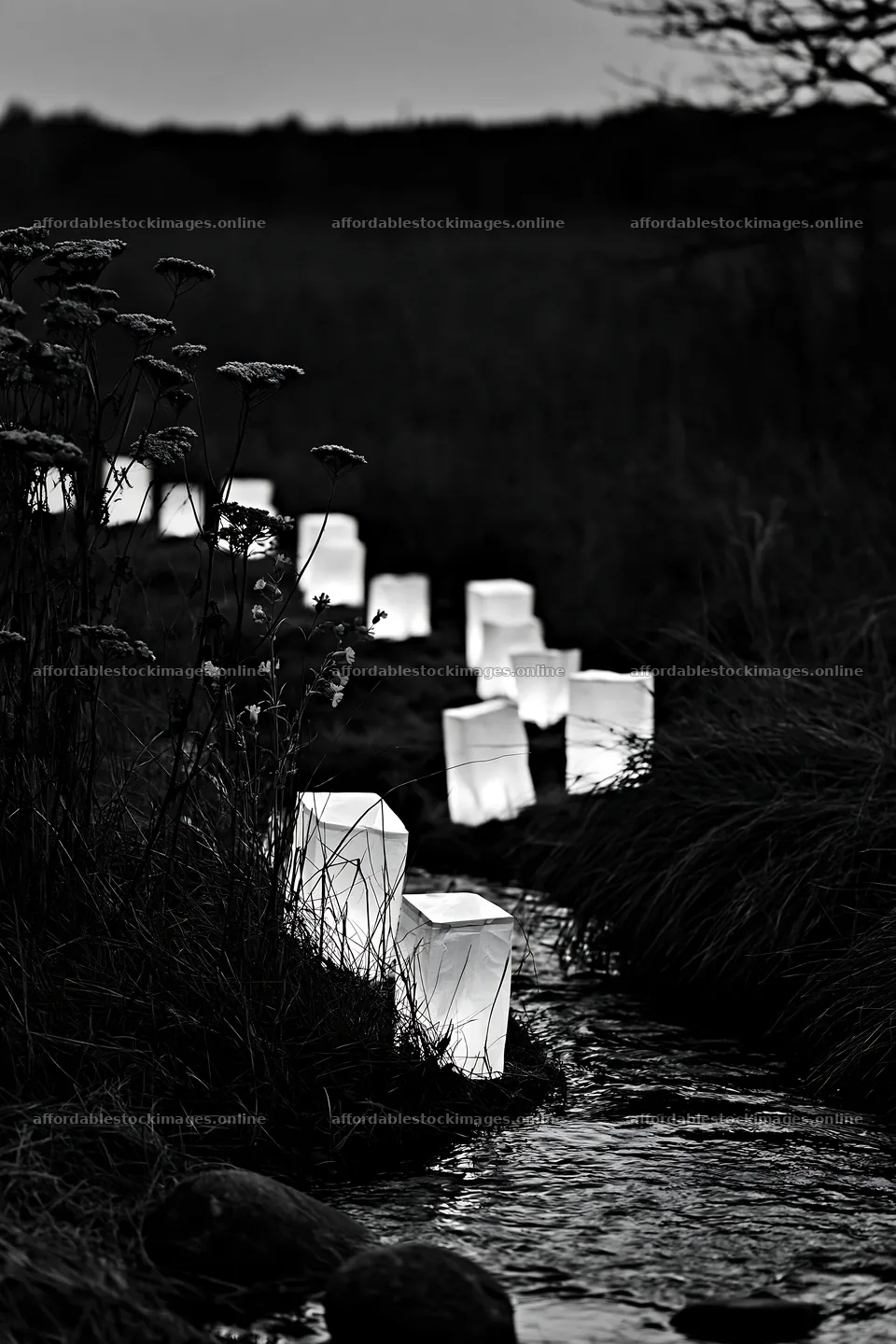 Christmas lanterns beside stream in meadow at dusk – stock images 6480x9722