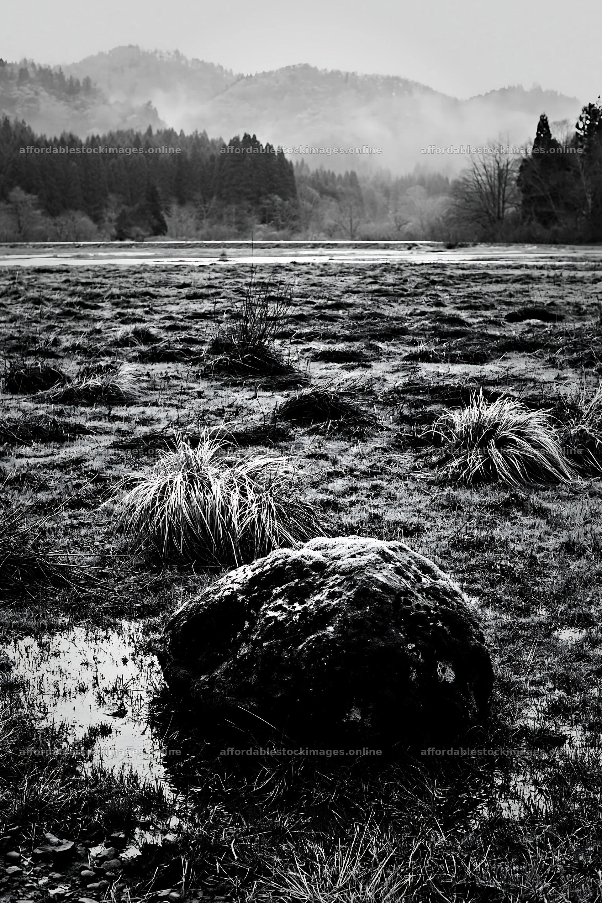 Miyagi spring recovery meadow mossy stone in wet grassland – stock images 6480x9722