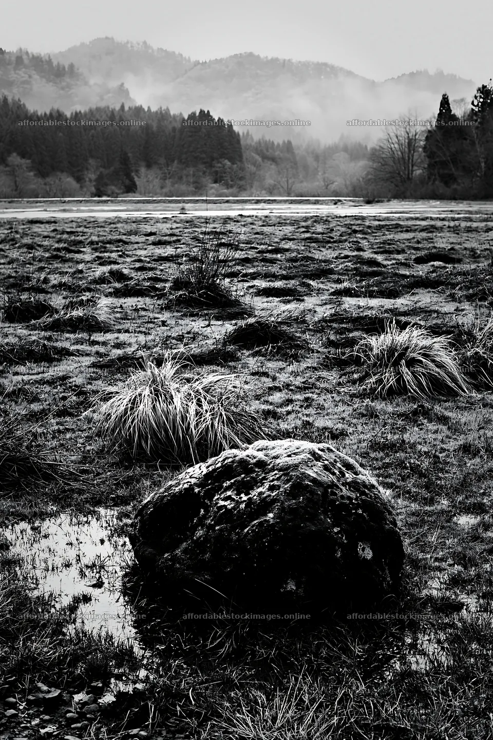 Miyagi spring recovery meadow mossy stone in wet grassland – stock images 6480x9722