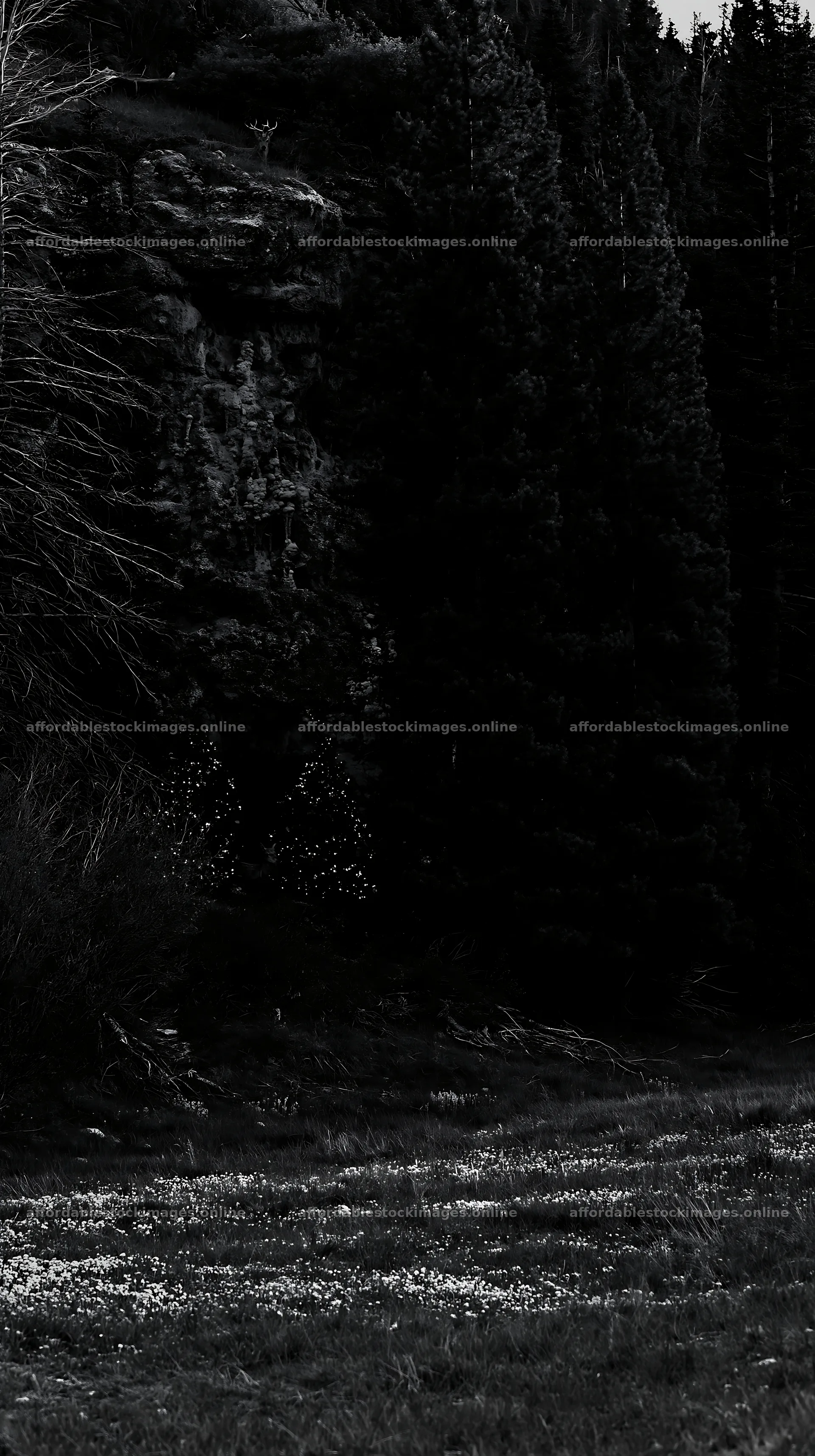 Christmas wreaths near cave in meadow – stock images 5938x10608