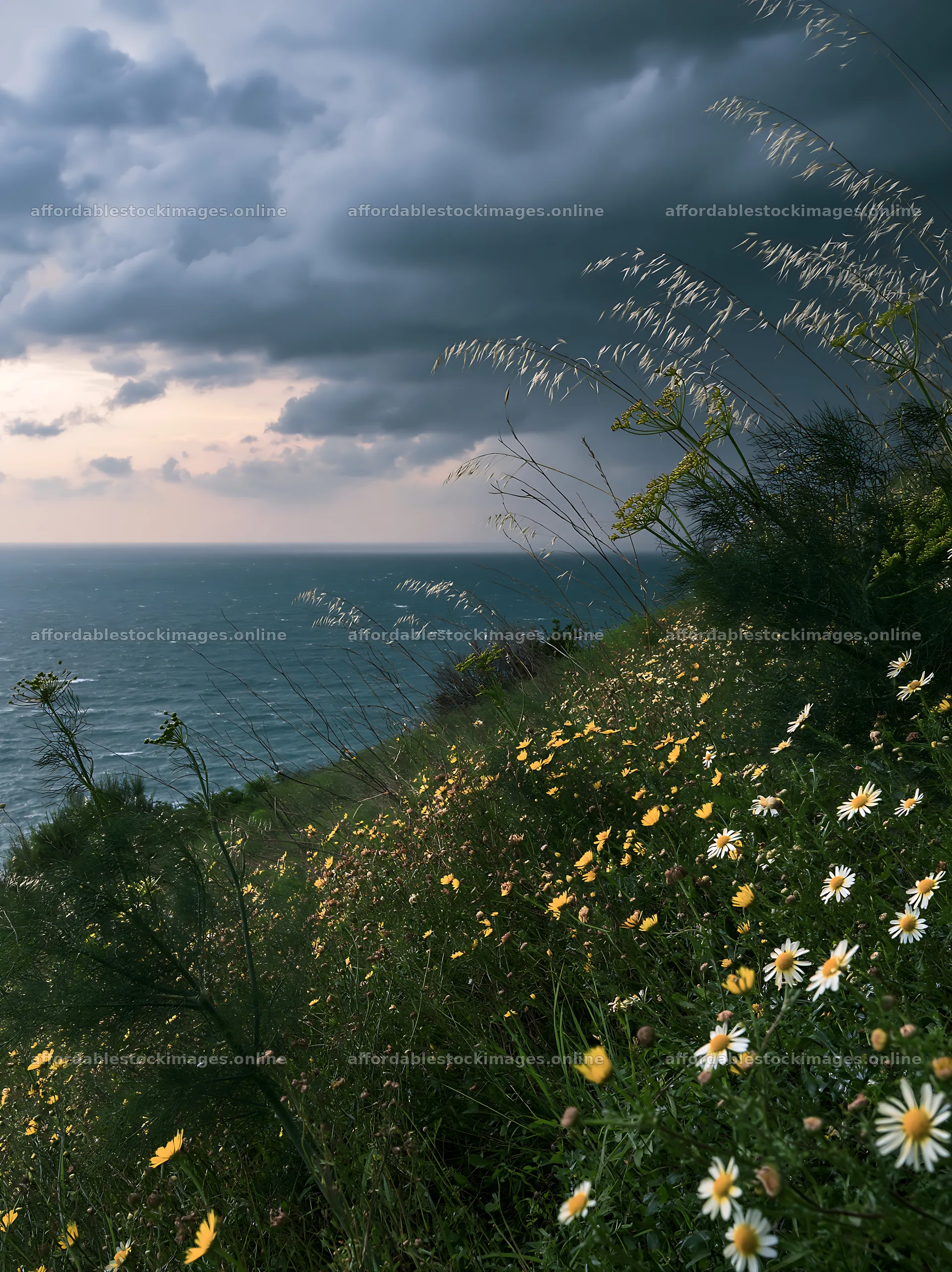 Seaside orchard meadow with flowers and ocean view – stock images 6866x9174