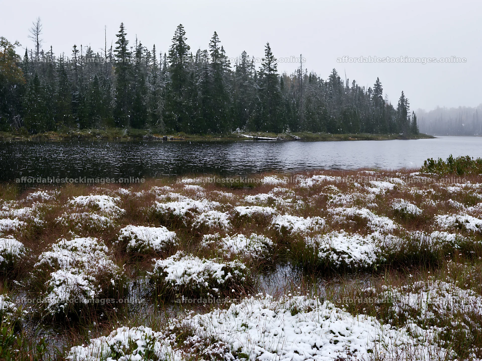 Lakeside meadow after first snowfall with trees in the – stock images 9174x6866