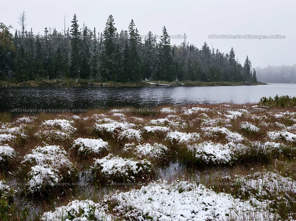 Lakeside meadow after first snowfall with trees in the – stock images 9174x6866