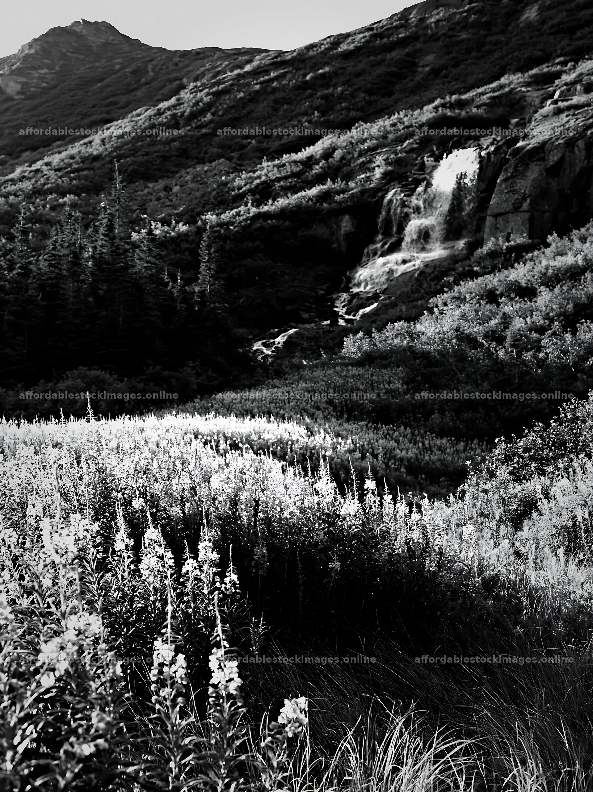 Flower meadow below a cascade in a mountainous region – stock images 6866x9174