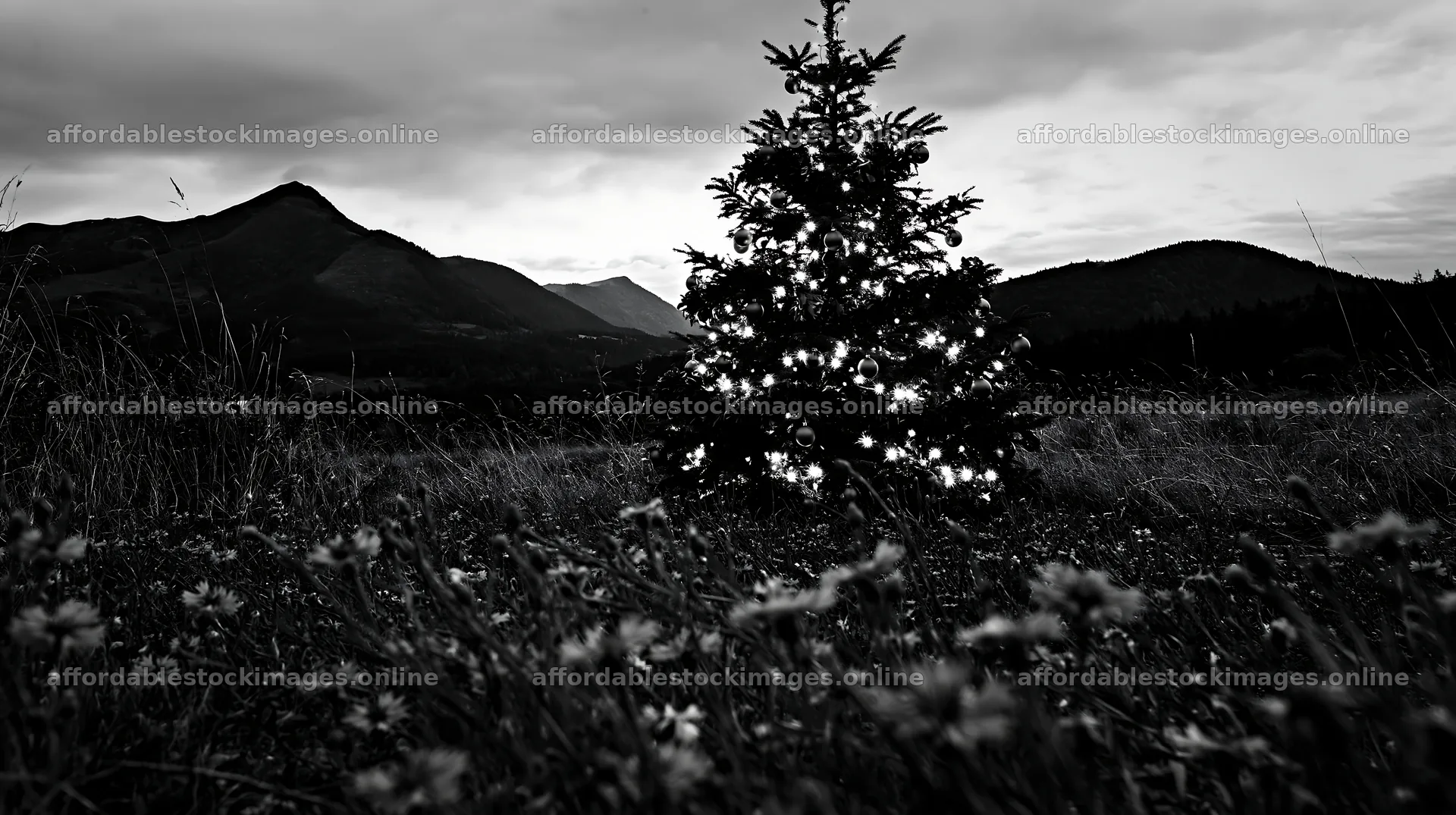Christmas tree in meadow with mountains under cloudy sky – stock images 10608x5938