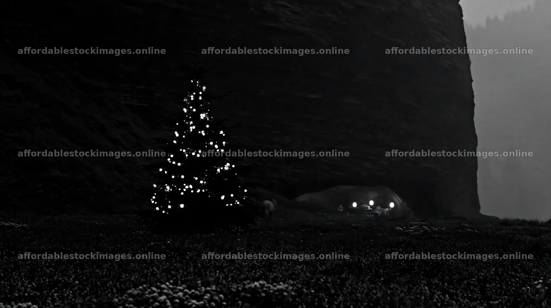 Christmas tree at dusk in meadow by cave – stock images 10608x5938