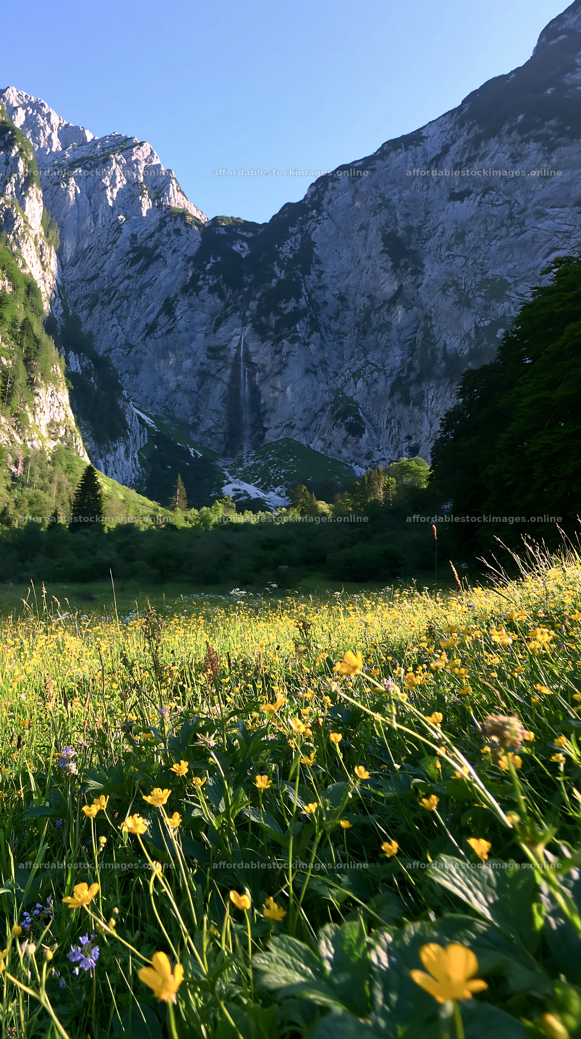 Meadow beneath crags with rocky mountains in the background – stock images 5938x10608