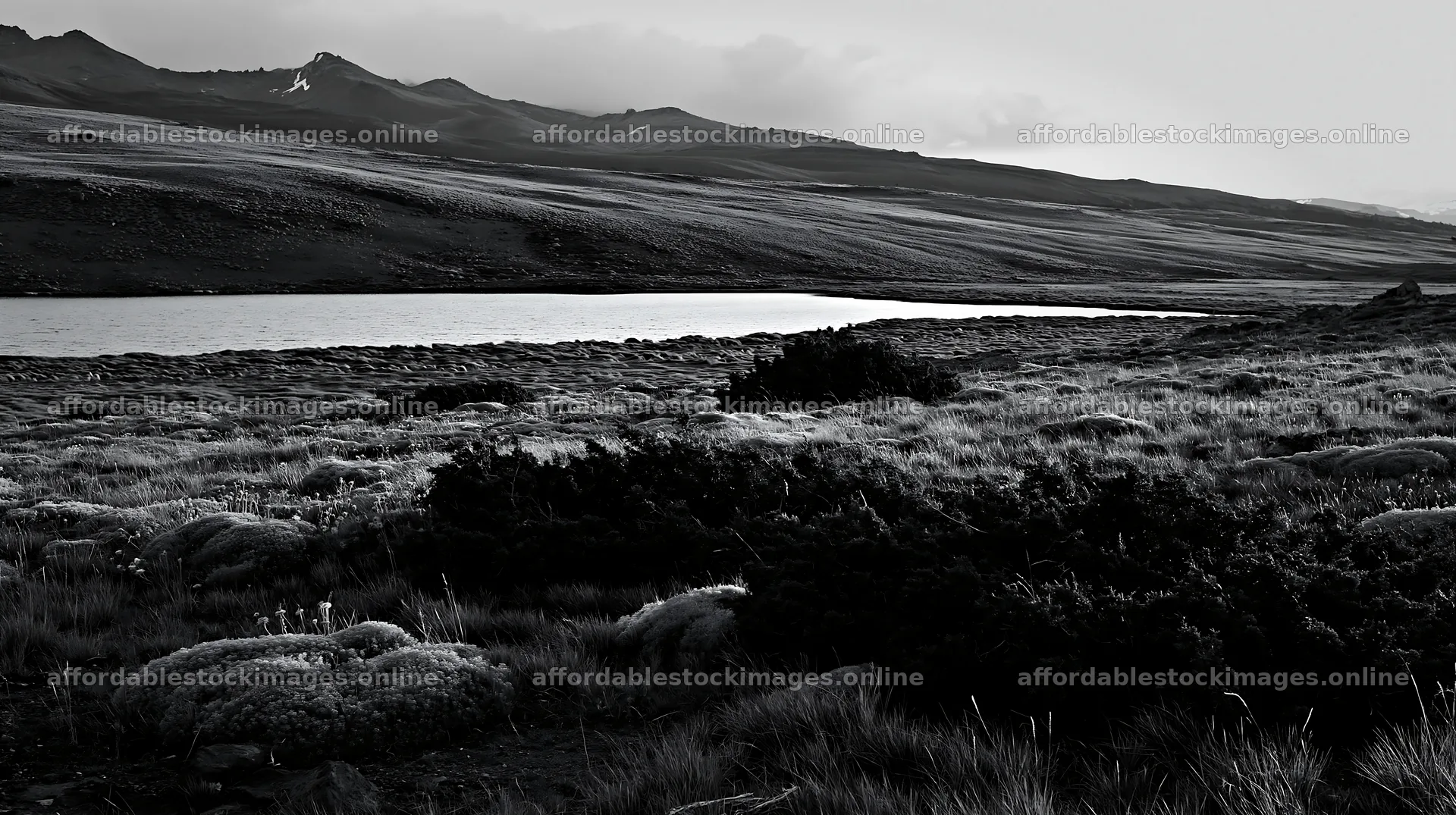 Regenerative meadow landscape with lake and mountains – stock images 10608x5938