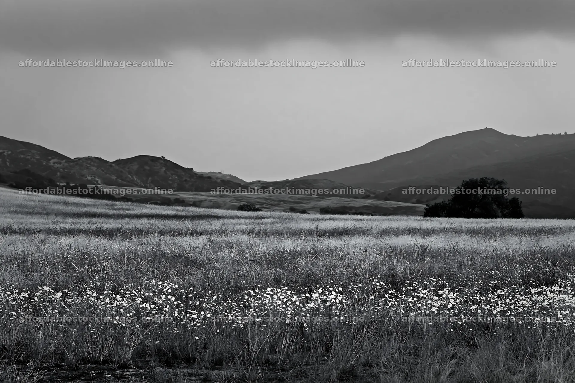 Cloudy foothill meadow with grass and distant mountains – stock images 9722x6480