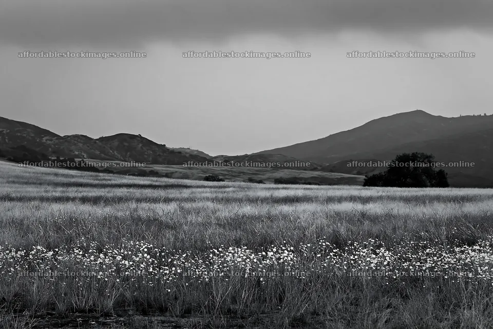Cloudy foothill meadow with grass and distant mountains – stock images 9722x6480