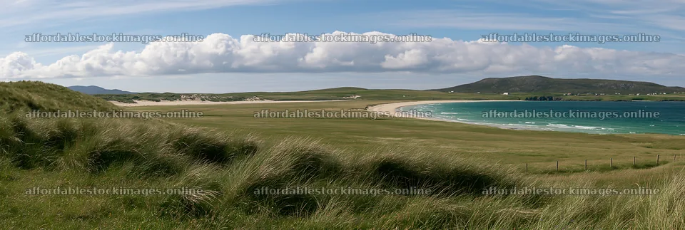 Machair beach meadow on a sunny day near the coast – stock images 13690x4602