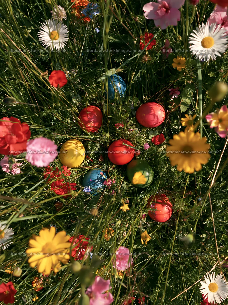 Colorful eggs among flowers in a meadow in Camargue – stock images 6866x9174