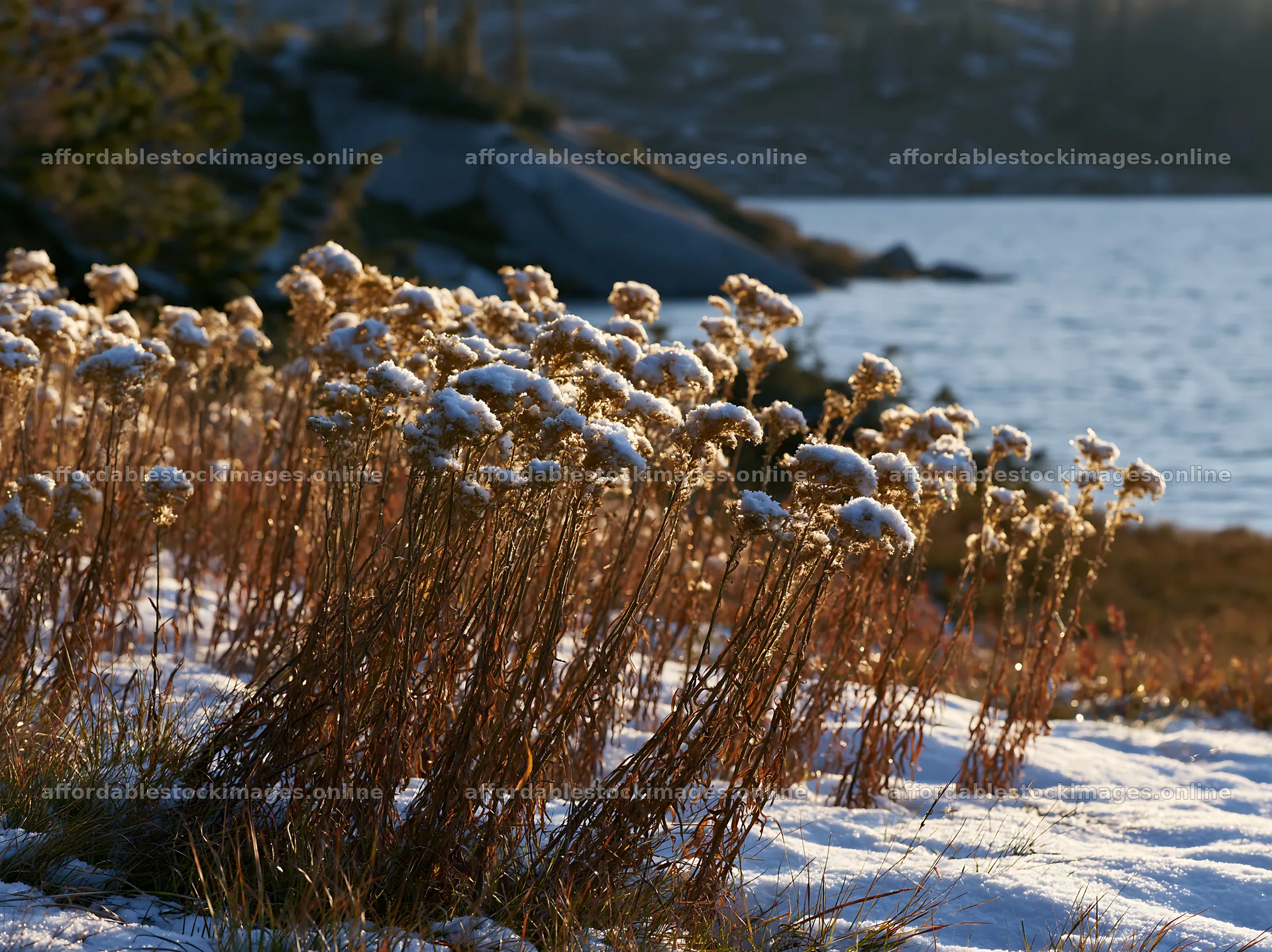 Lakeside meadow after the first snowfall in winter – stock images 9174x6866