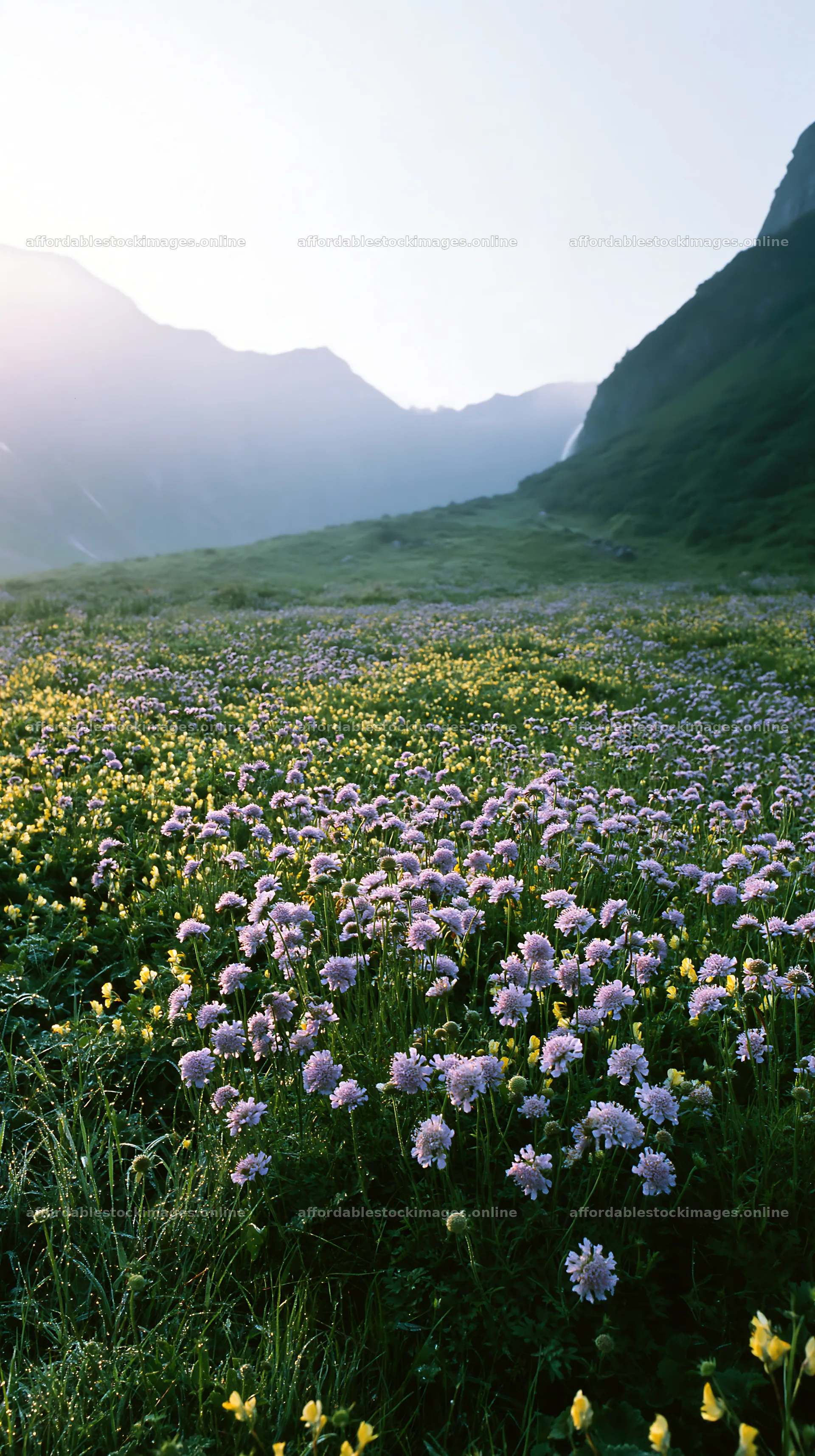 Wildflower meadow with waterfall mist and mountains in – stock images 5938x10608