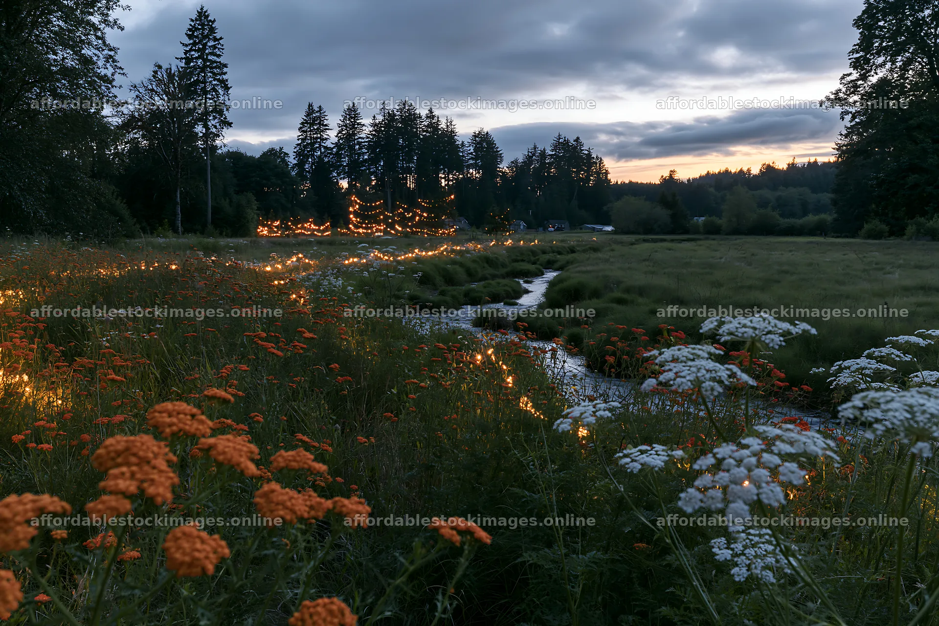 Christmas lights beside stream in meadow at dusk – stock images 9722x6480