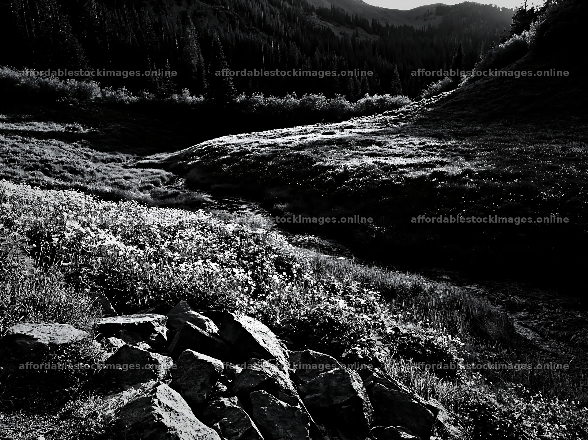 High contrast meadow stream landscape with rocks and trees – stock images 9174x6866