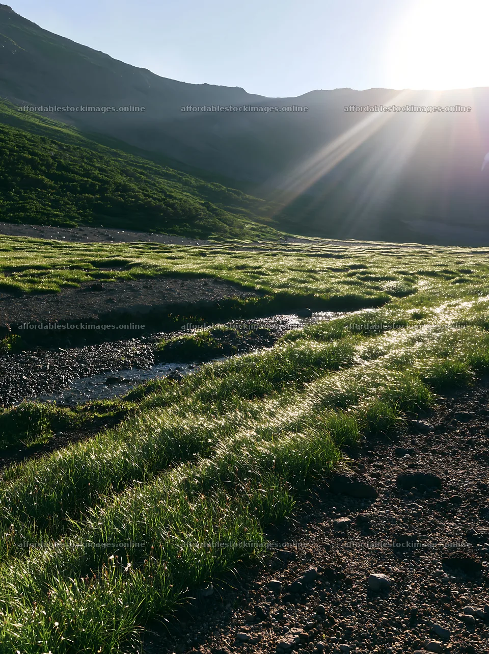 Light rays over Daisetsuzan alpine meadow in summer – stock images 6866x9174