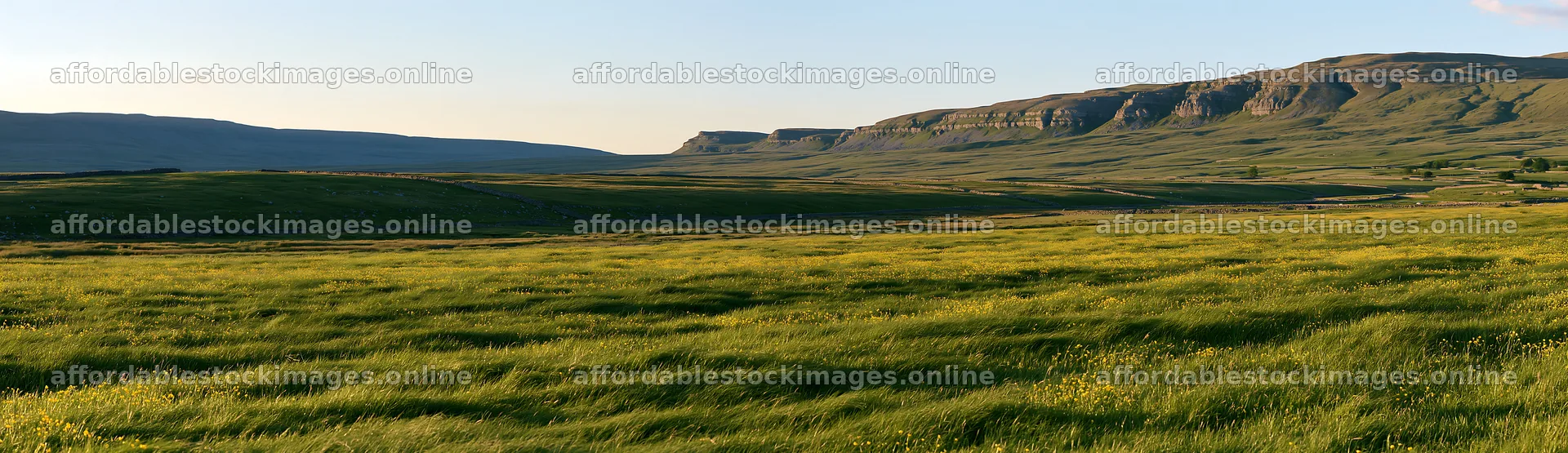 Yorkshire Dales buttercup hay meadow with distant hills – stock images 14762x4268