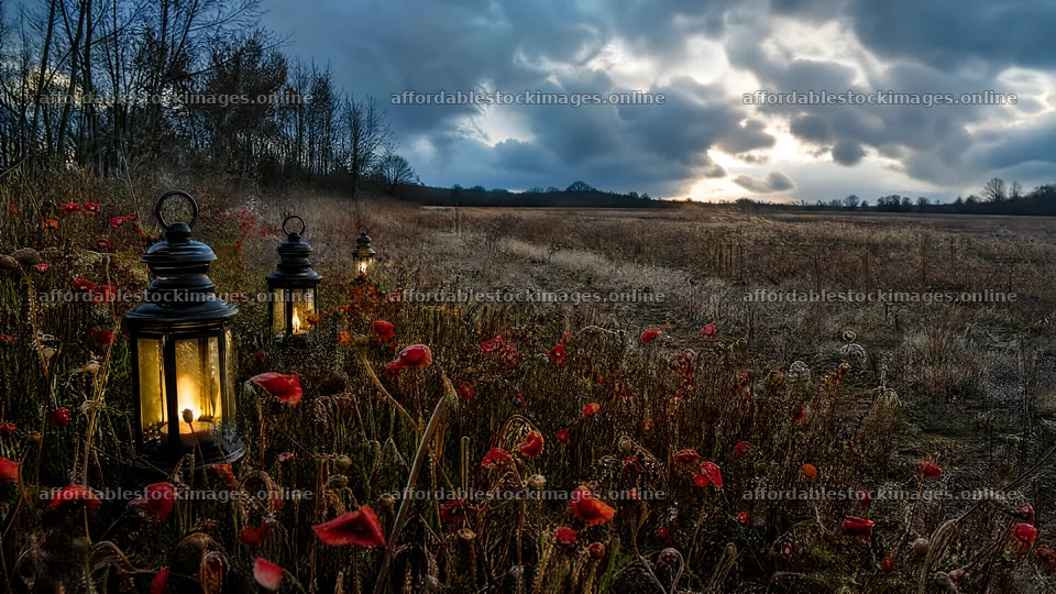 Vibrant Christmas lanterns in winter meadow with red flowers – stock images 10584x5952