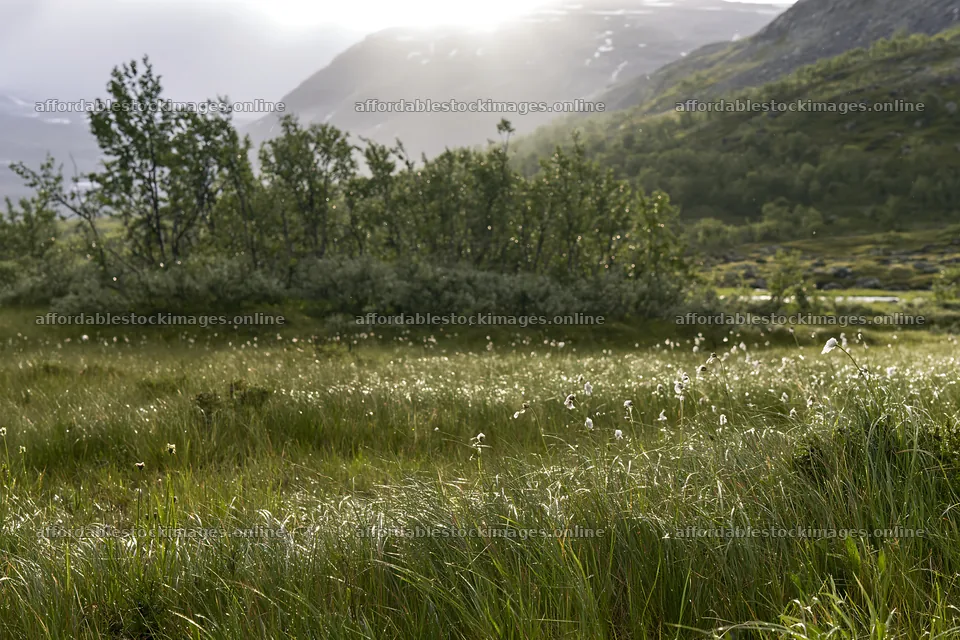 Sunlight streams over meadow in Jotunheimen valley – stock images 9722x6480