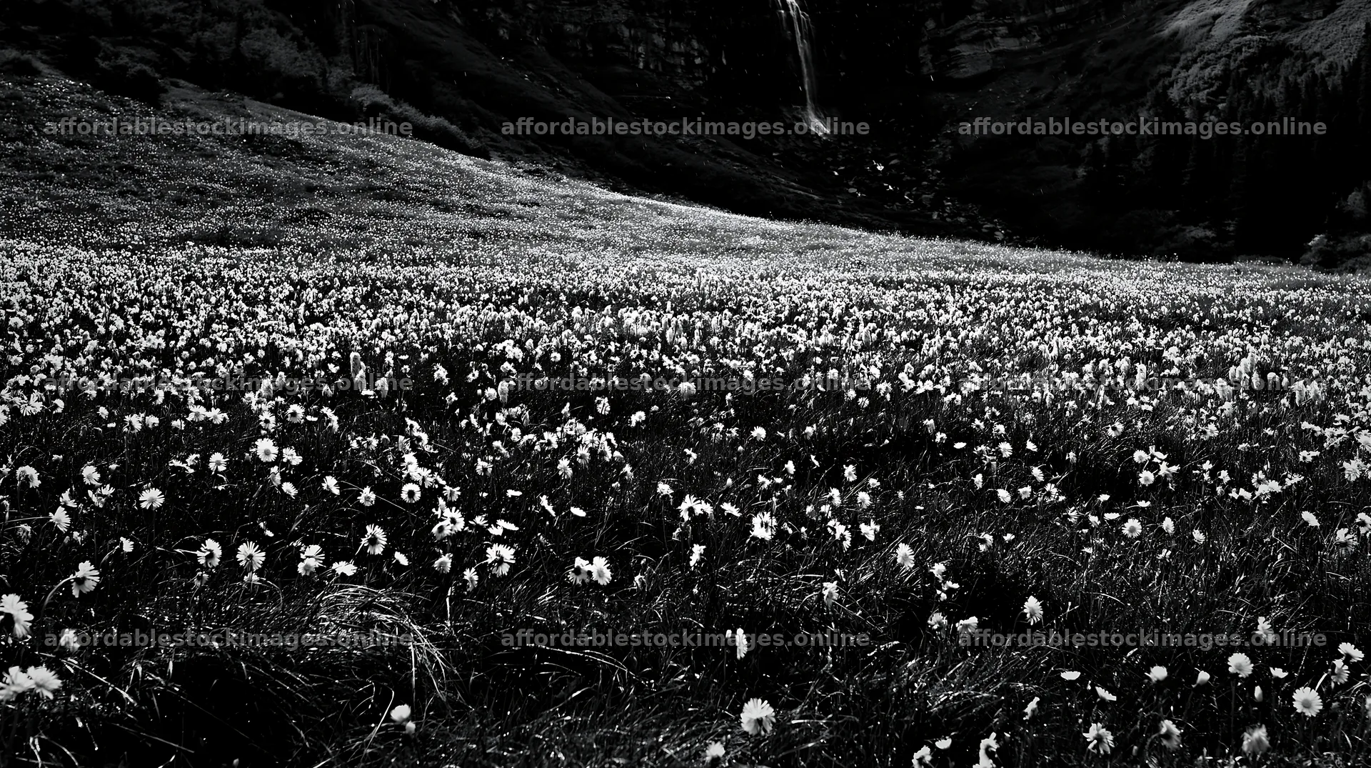 Flowering meadow near mountain falls with bright flowers – stock images 10608x5938