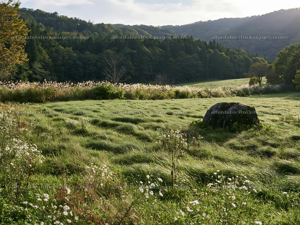 Aomori climate resilient meadow with boulder in daylight – stock images 9174x6866