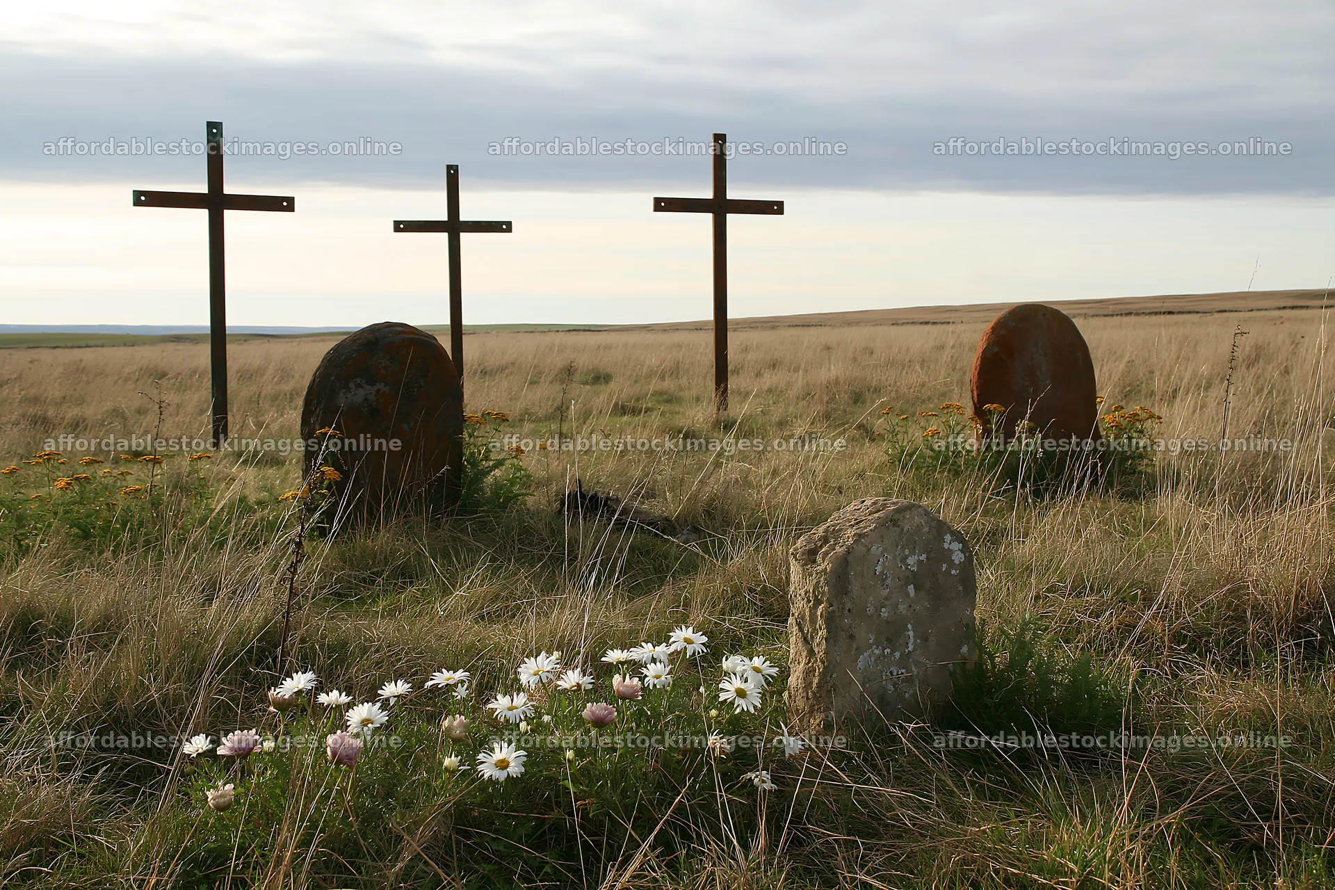 Four Christian crosses in a winter meadow – stock images 9722x6480