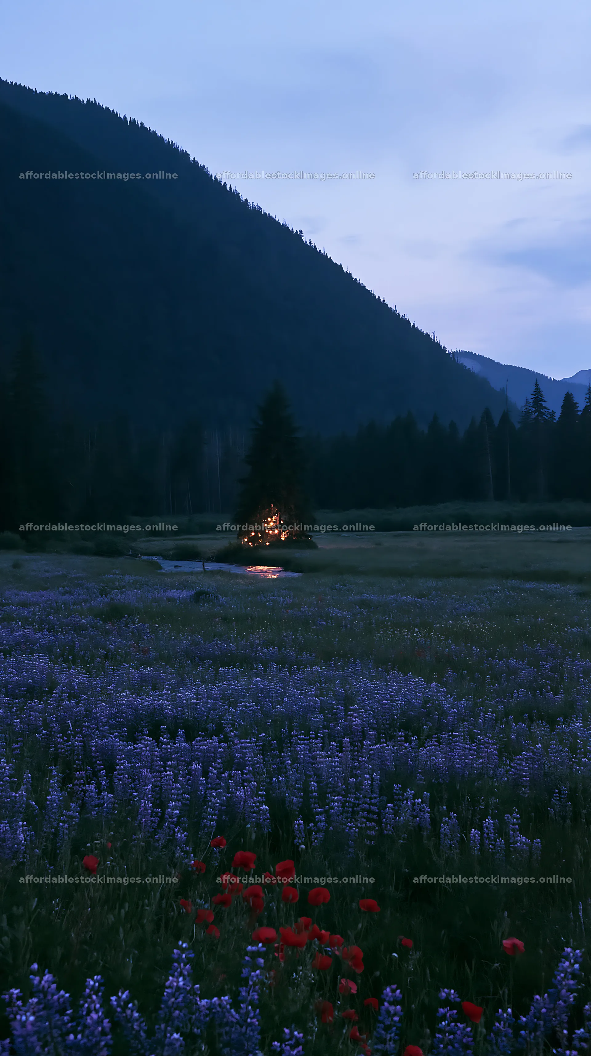 Christmas tree at dusk beside stream in meadow – stock images 5938x10608