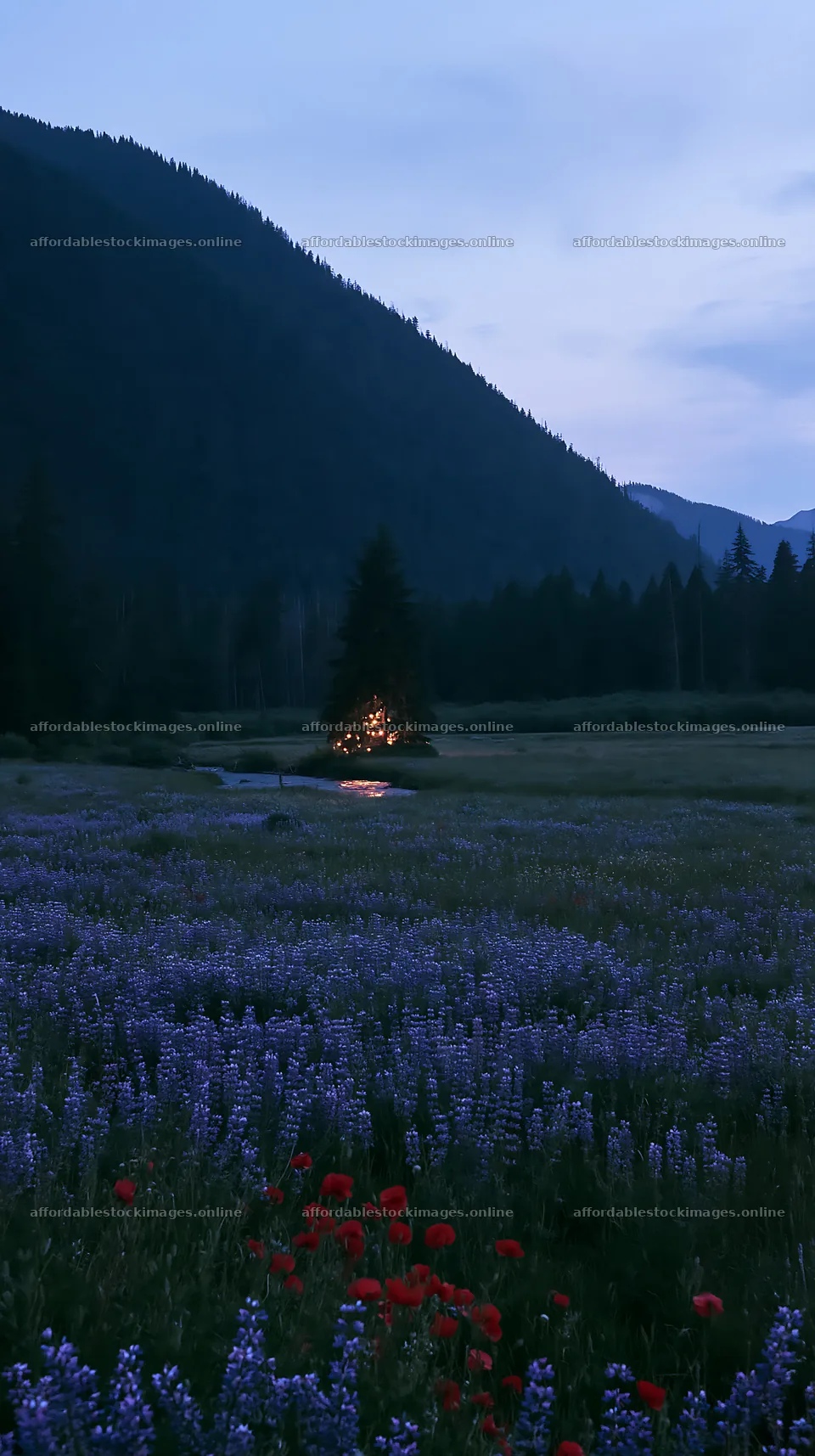 Christmas tree at dusk beside stream in meadow – stock images 5938x10608