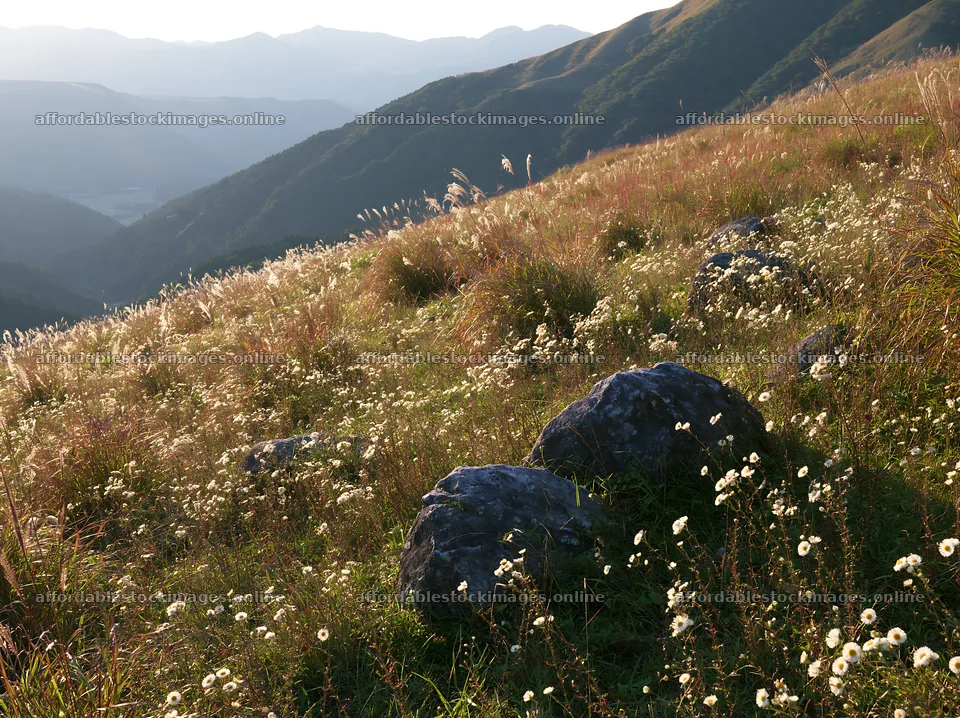Oita highland meadow with granite stones in sunlight – stock images 9174x6866