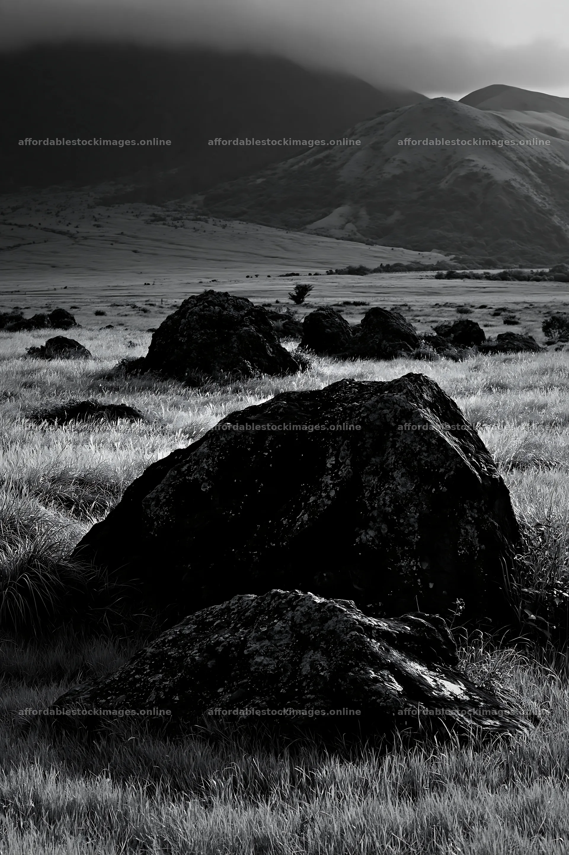 Restored Kumamoto silver grass meadow with boulders – stock images 6480x9722