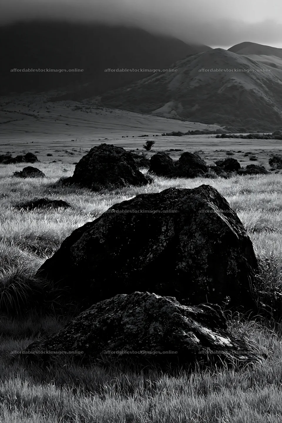 Restored Kumamoto silver grass meadow with boulders – stock images 6480x9722