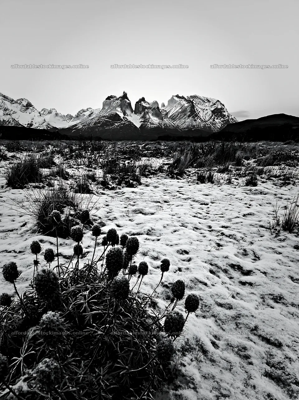 Torres del Paine meadow snow with mountains in the background – stock images 6866x9174